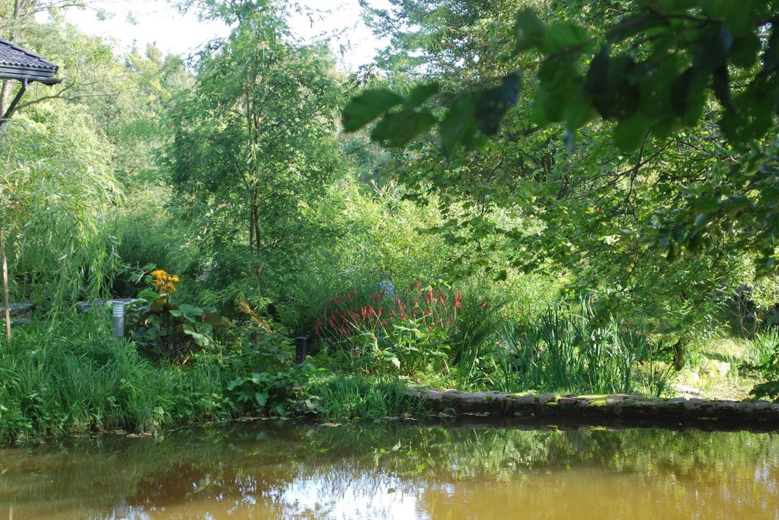 Сад натуралистического стиля