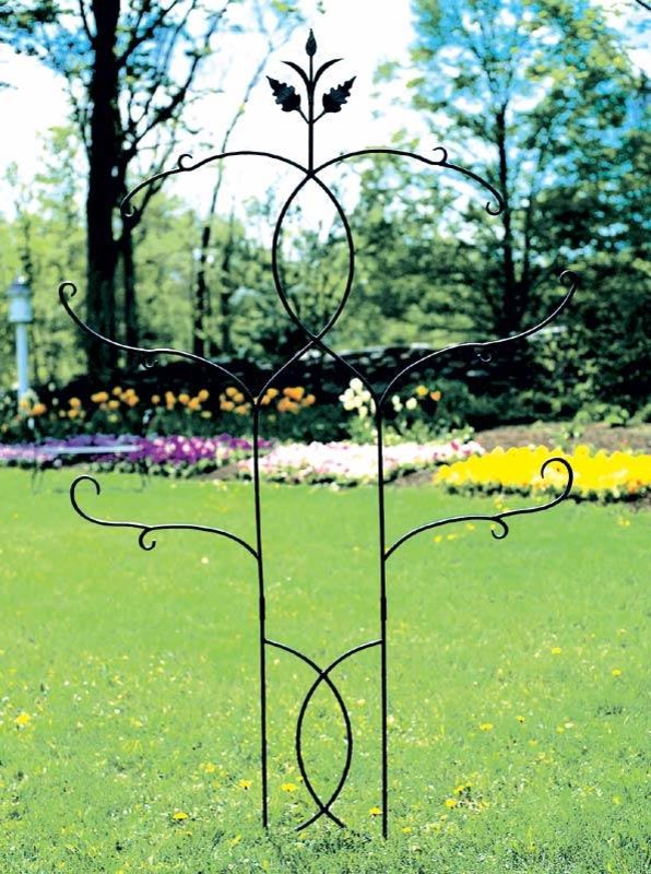 Iron Tender Tendrils Trellis w Curled Scrollwork