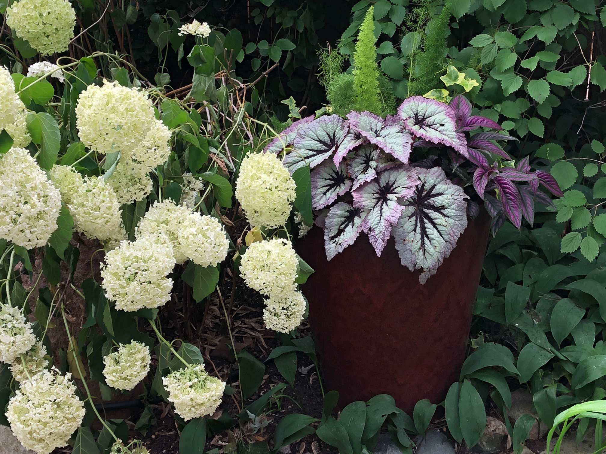 Shade Containers