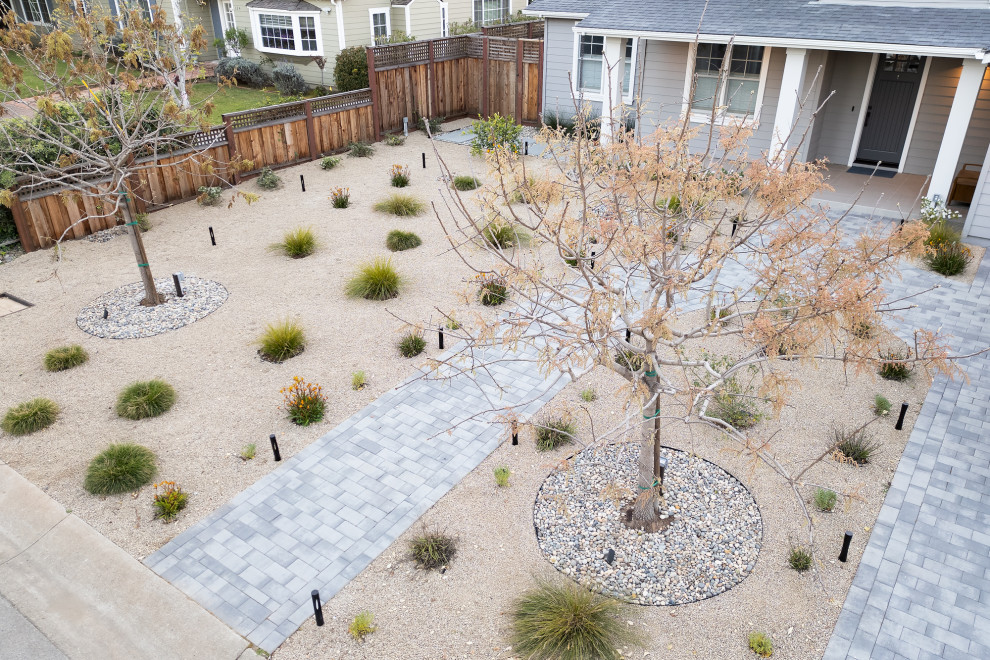 Modern Cozy & Serene in Los Altos