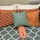 shelley_gray75