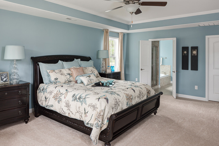 Inspiration for a traditional master bedroom in Other with blue walls, carpet and no fireplace.