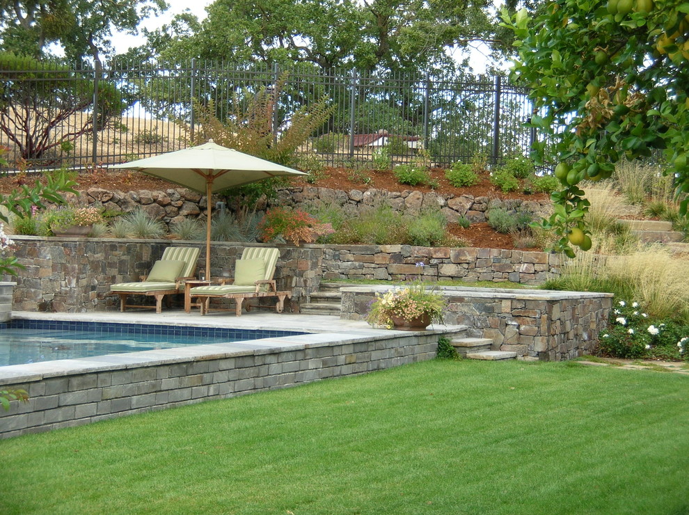 Design ideas for a traditional rectangular pool in San Francisco.