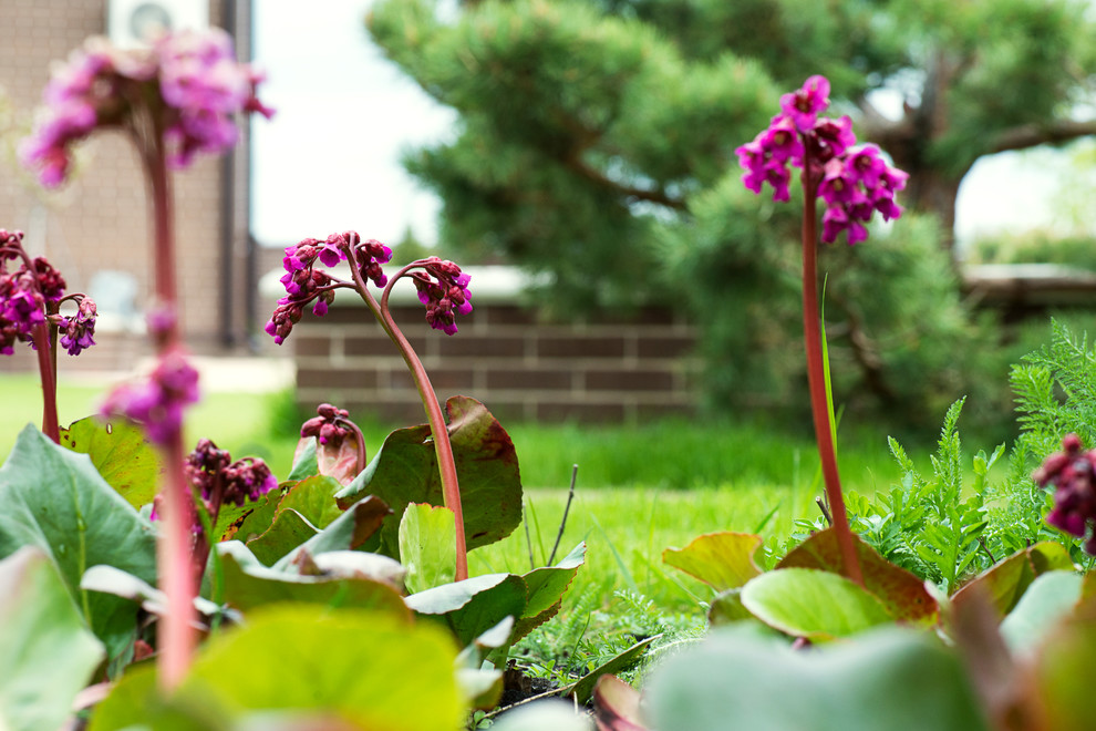 Первая весна в саду "Красный октябрь"