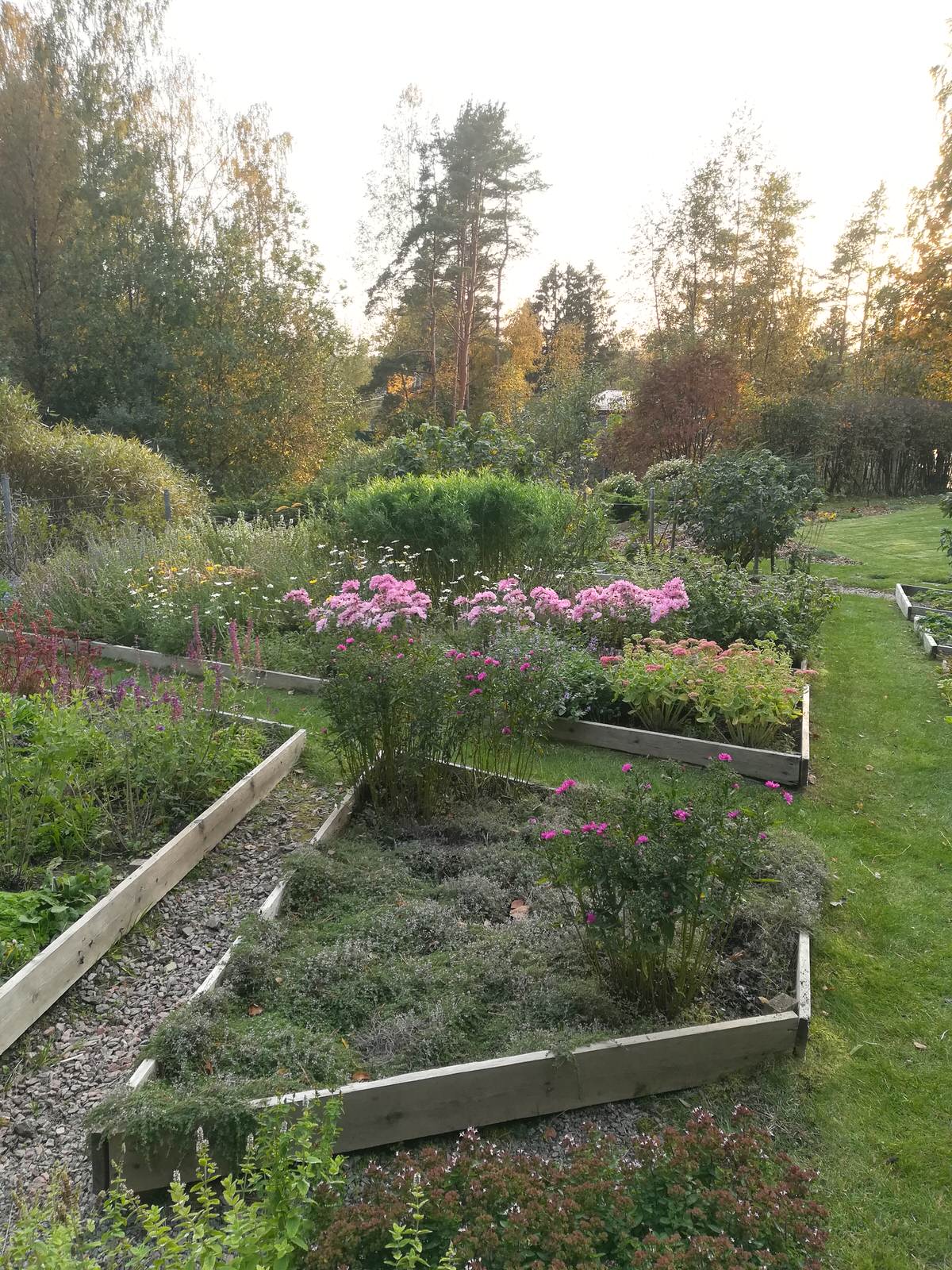 Озеленение рельефного участка в Токсово