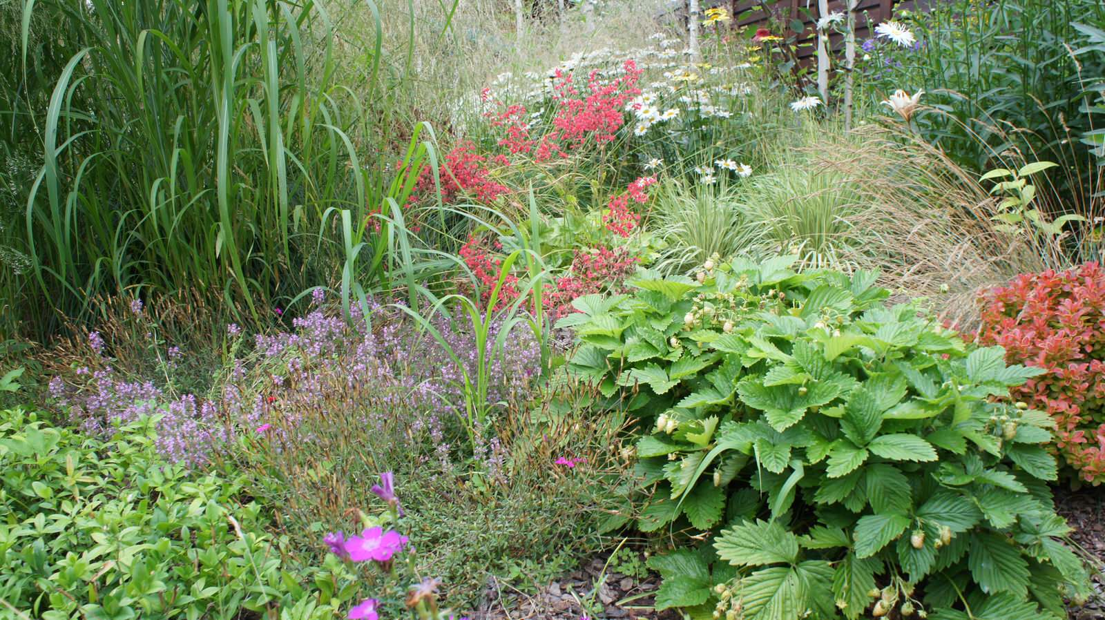 Прохорово лето 2017