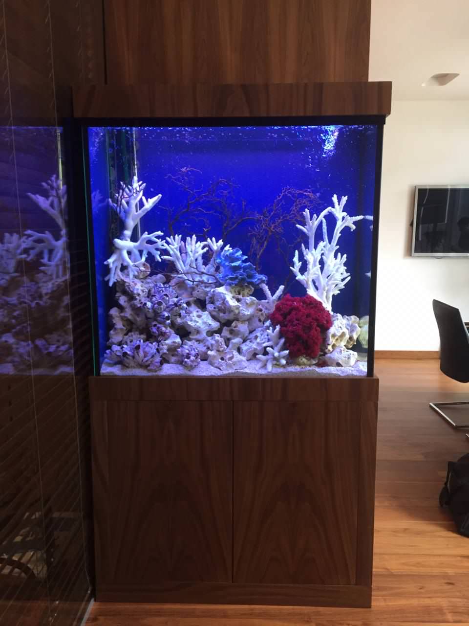 Уютный Аквариум