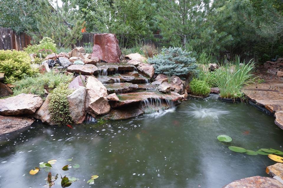 Design ideas for a transitional landscaping in Denver.