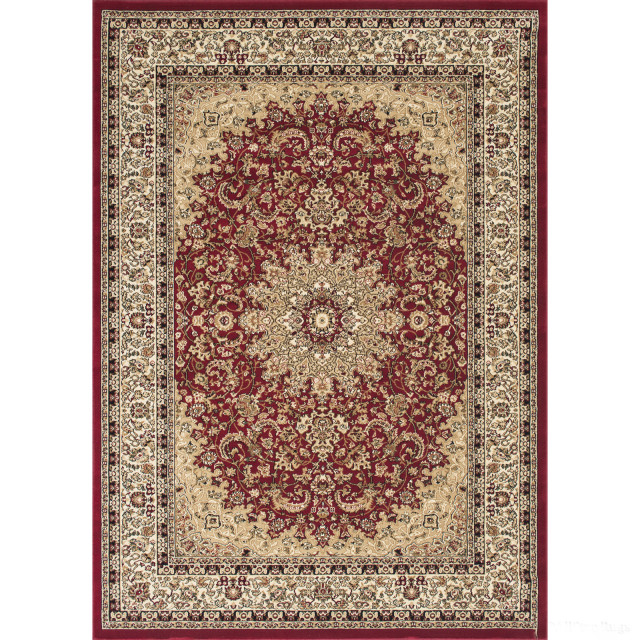 Infinity Red Persian Rug - Traditional - Area Rugs - by Infinity ...