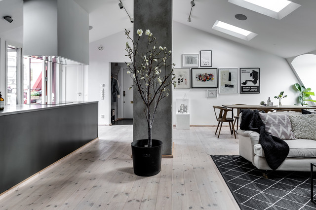 Frejgatan scandinave-salon