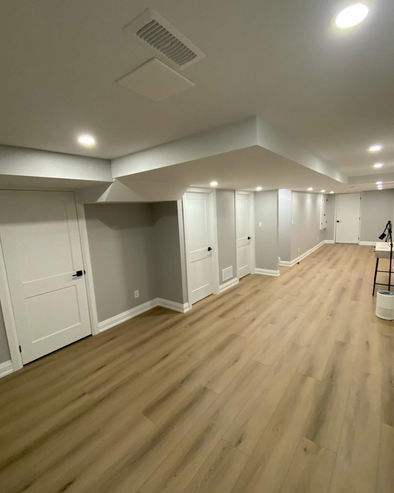 Basement Remodel