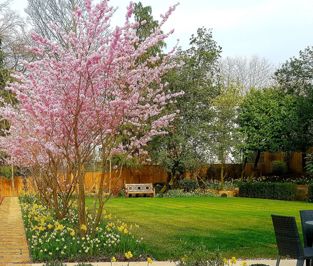Family garden garden