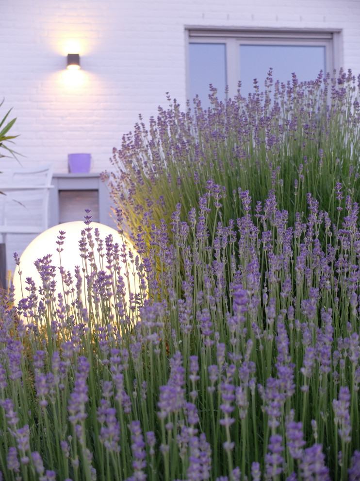 Mittelgroßer Klassischer Hanggarten im Sommer mit Blumenbeet, direkter Sonneneinstrahlung und Natursteinplatten in Bonn