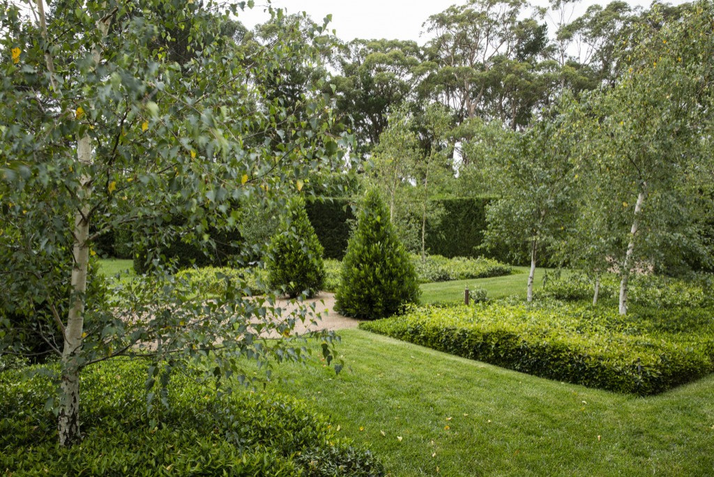 Фото, ландшатный дизайн