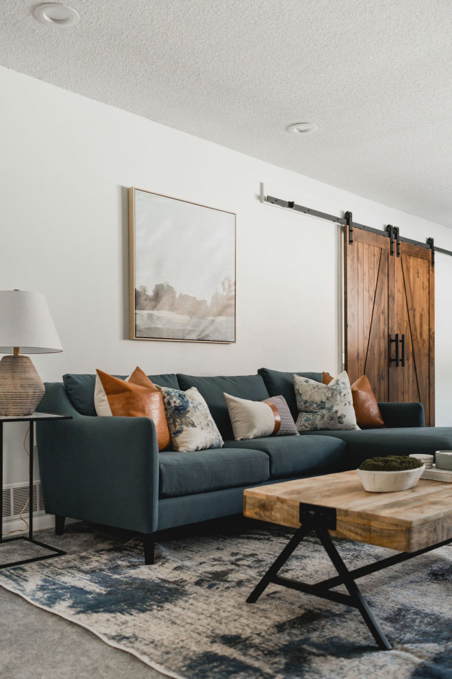 Mountain style basement photo in Minneapolis
