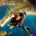 Maureen Wescott's profile image