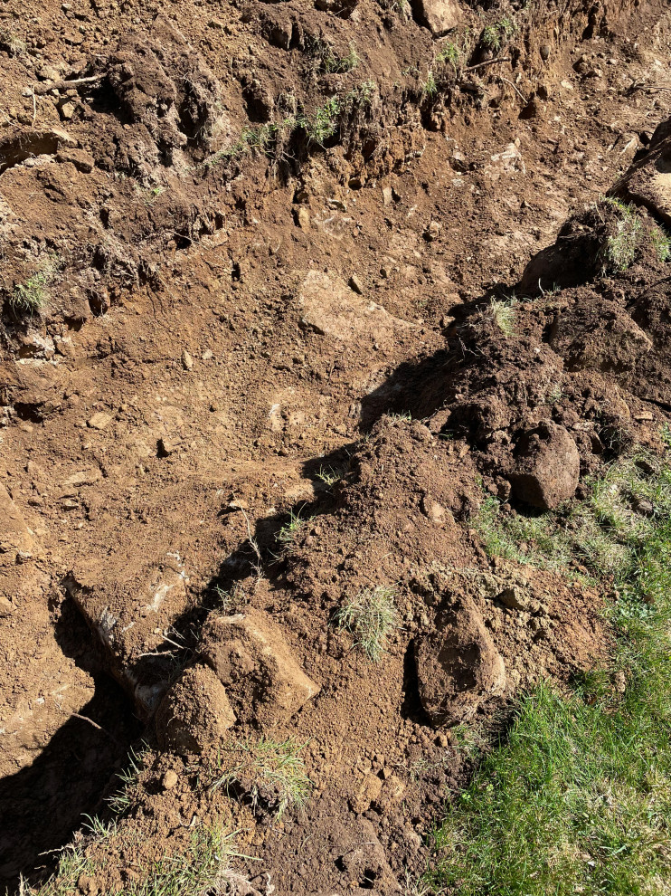 Deac's Cabin Restoration