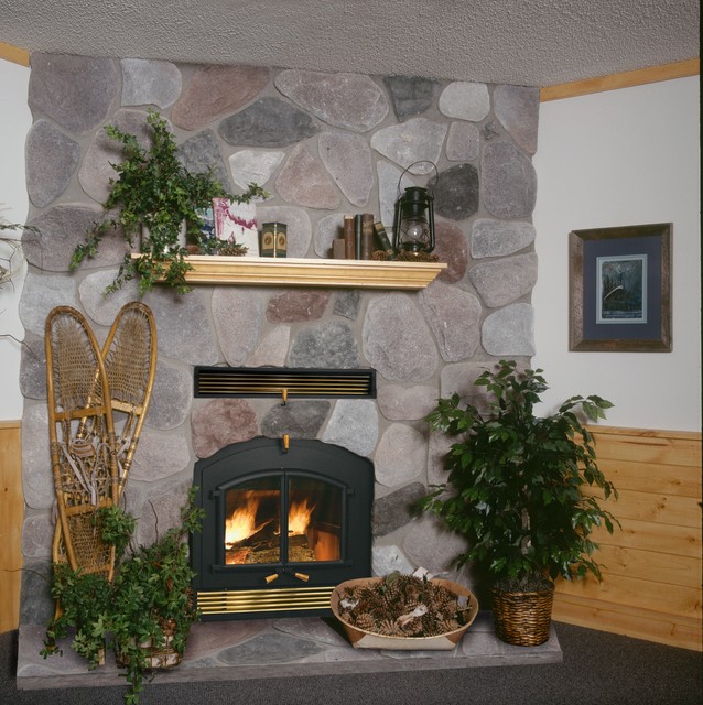 Kozy Heat Fireplaces Rustic Family Room Minneapolis by Kozy