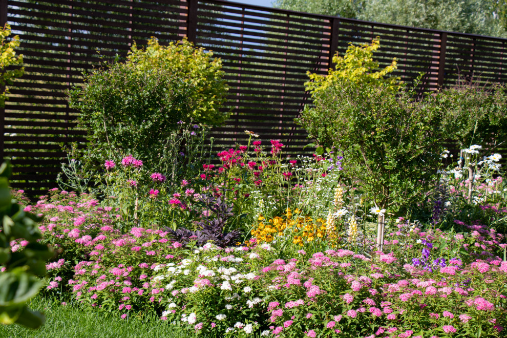 Сосновые берега