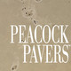 Peacock Pavers