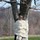deborah_levine