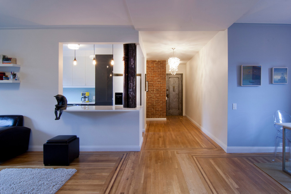 Photo of a mid-sized transitional foyer in New York with medium hardwood floors, blue walls, a single front door, a metal front door and brown floor.