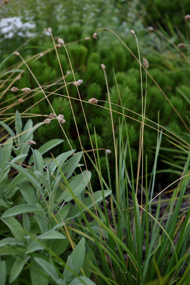 Сад с видом на Волгу