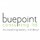 buepoint consulting ltd.