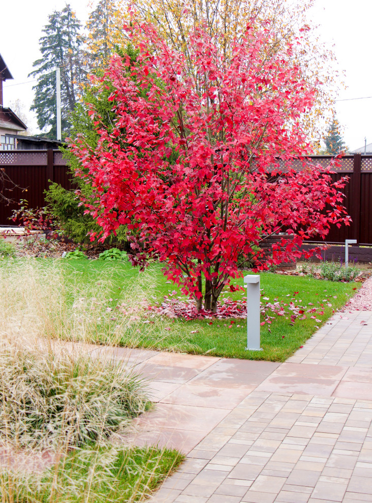 Петровское, 2018-2020 гг.