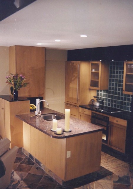 Johnson kitchen contemporary-kitchen