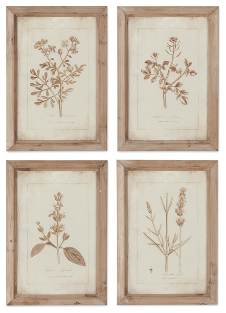 Napa Home and Garden - Frmd Sepia Herbes Botanical Prints, Set of 4 ...