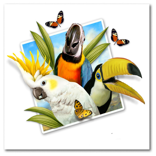 "Tropical Bird Photograph" by Howard Robinson, Metal Art Tropical