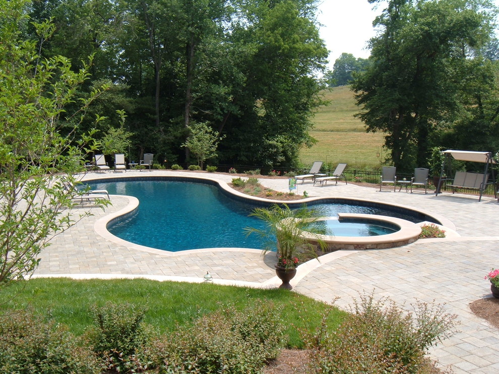 Example of a transitional pool design in Raleigh