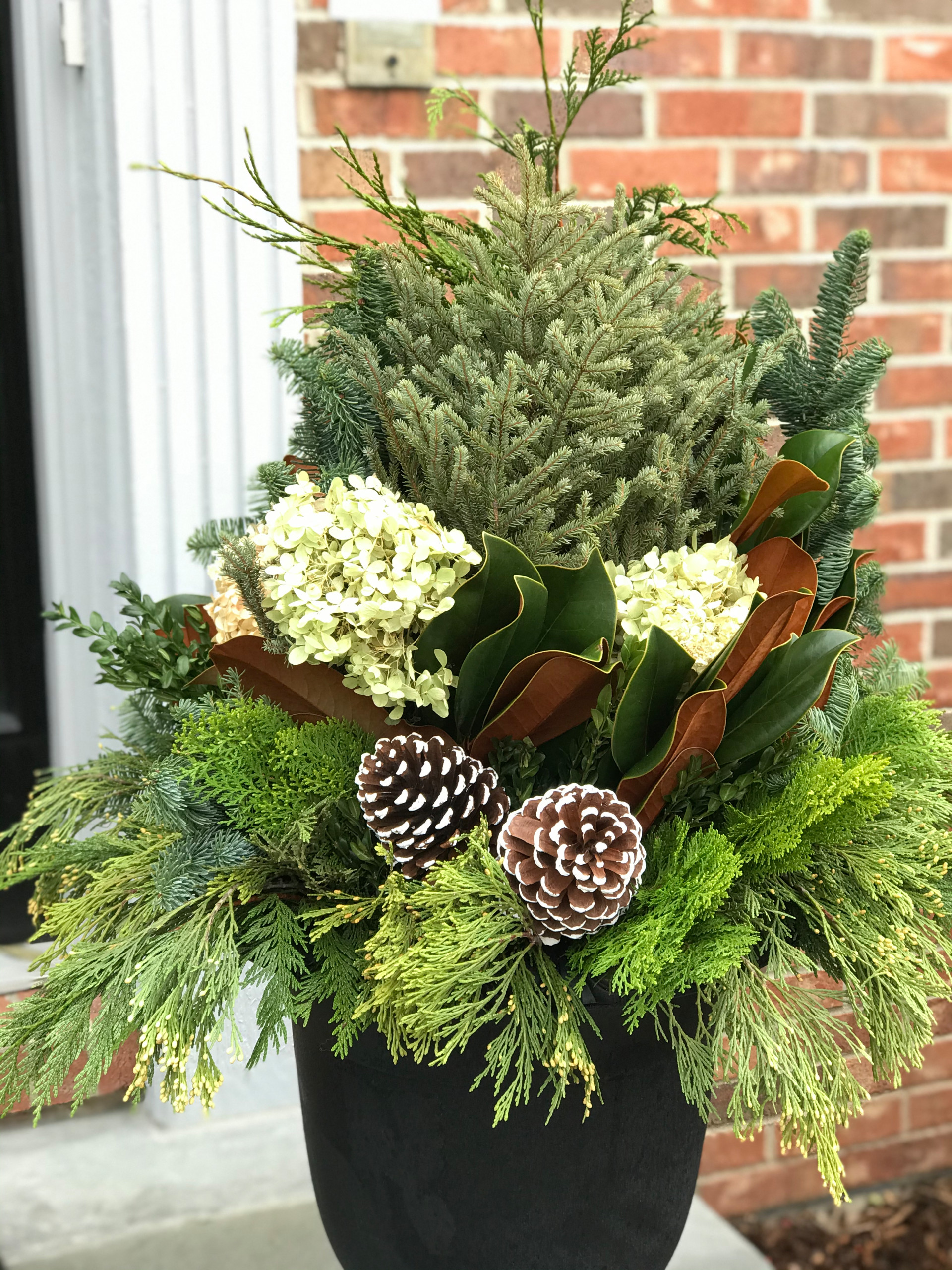 Winter containers and Holiday Decorations