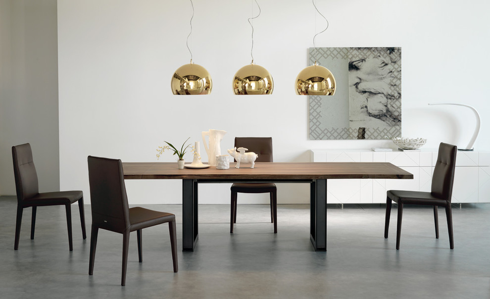 Inspiration for a large modern open plan dining in Boston with white walls and concrete floors.