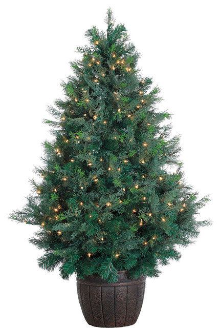 5 Cedar Teardrop Christmas Tree With EZ Connect Clear Smart Lights 5 Cedar Teardrop Christmas Tree With EZ Connect Clear Smart Lights