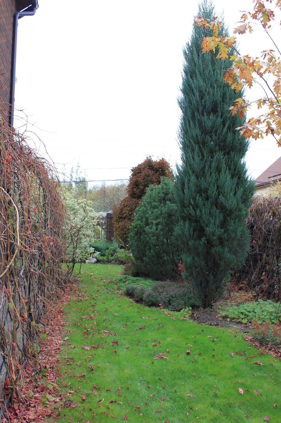 Романцево осень