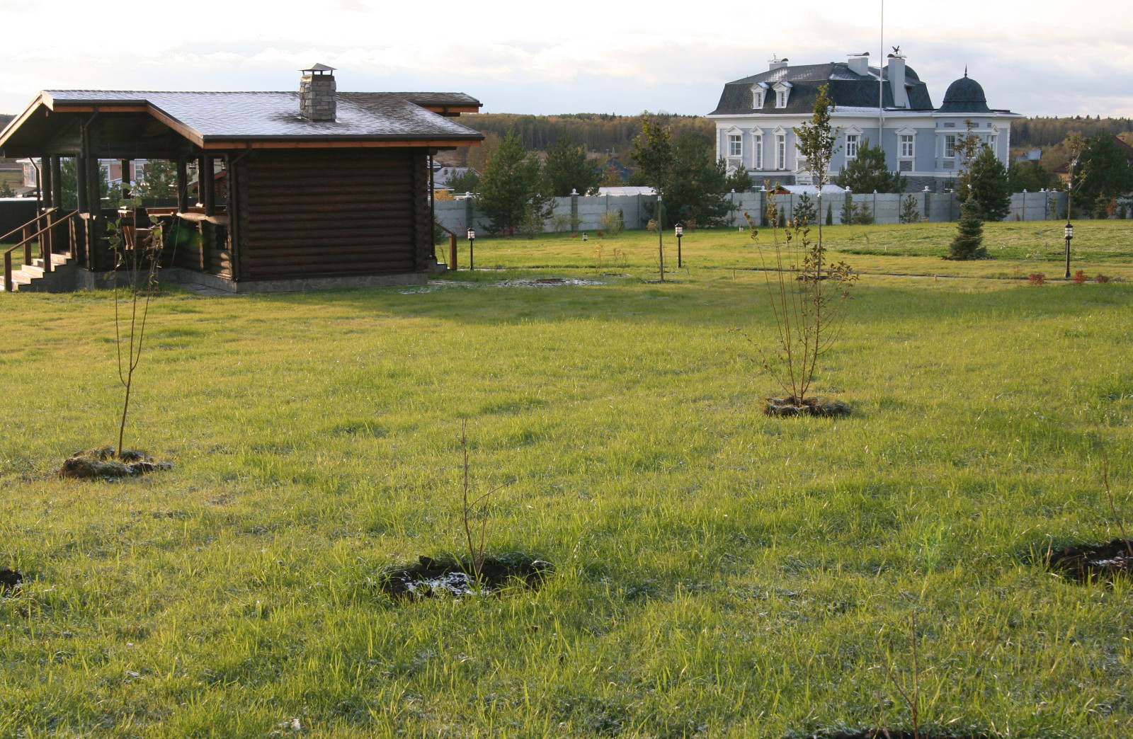 Газон и посадки