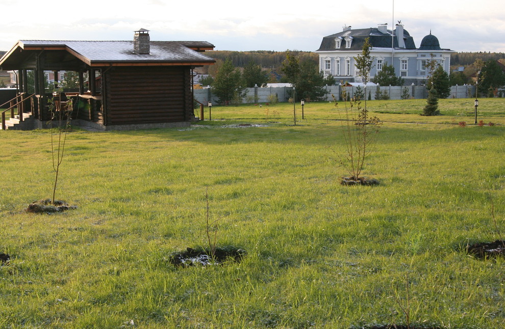 Газон и посадки