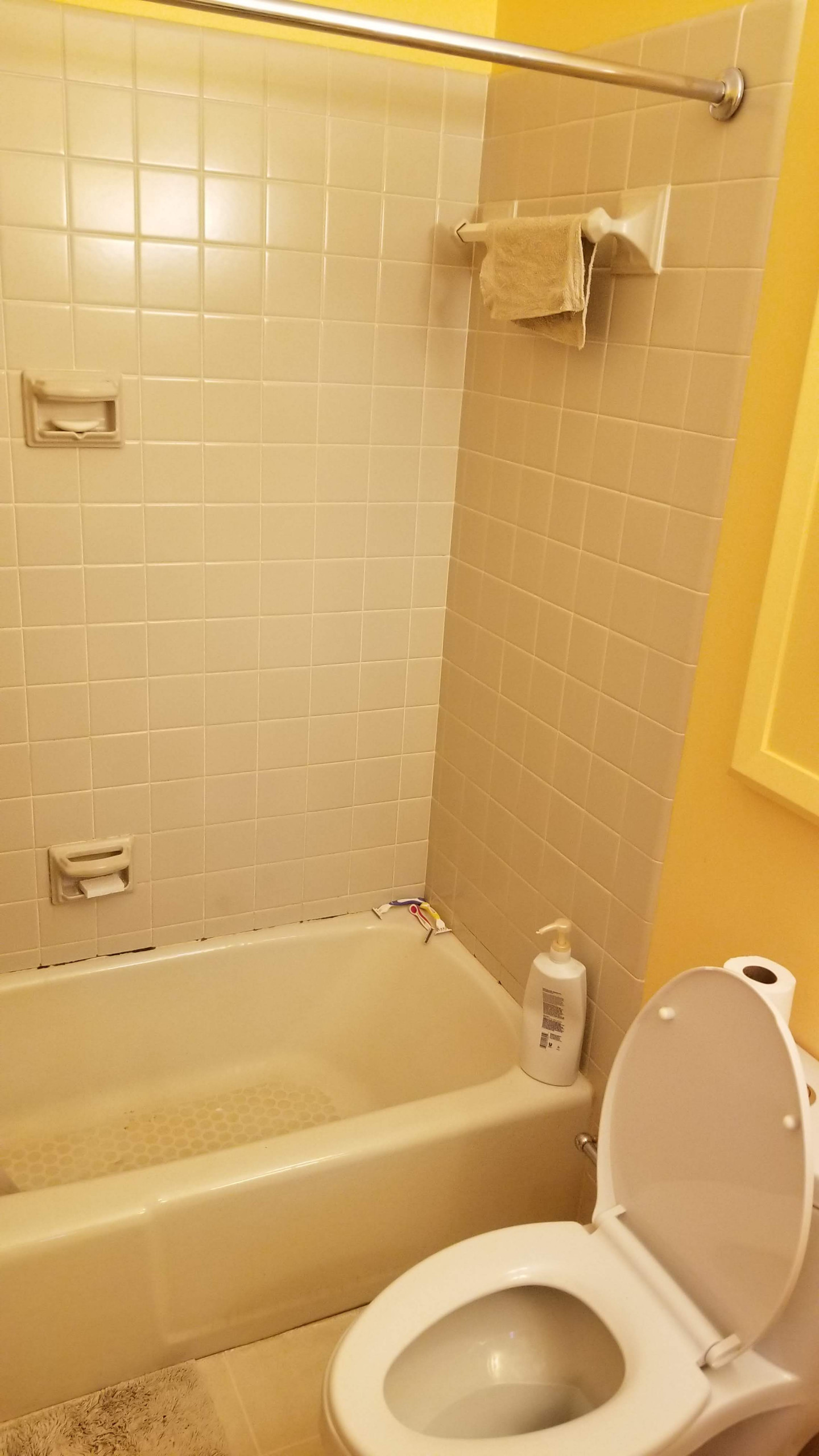 Bathroom Renovation + Tiny Bath Addition