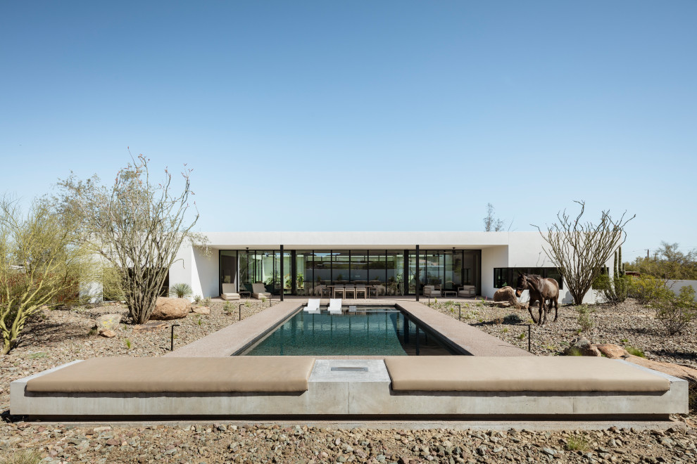 Design ideas for a modern backyard rectangular pool in Phoenix.