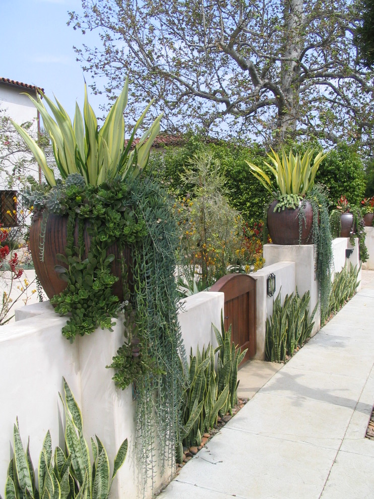 Inspiration for a mediterranean front yard landscaping in Los Angeles.