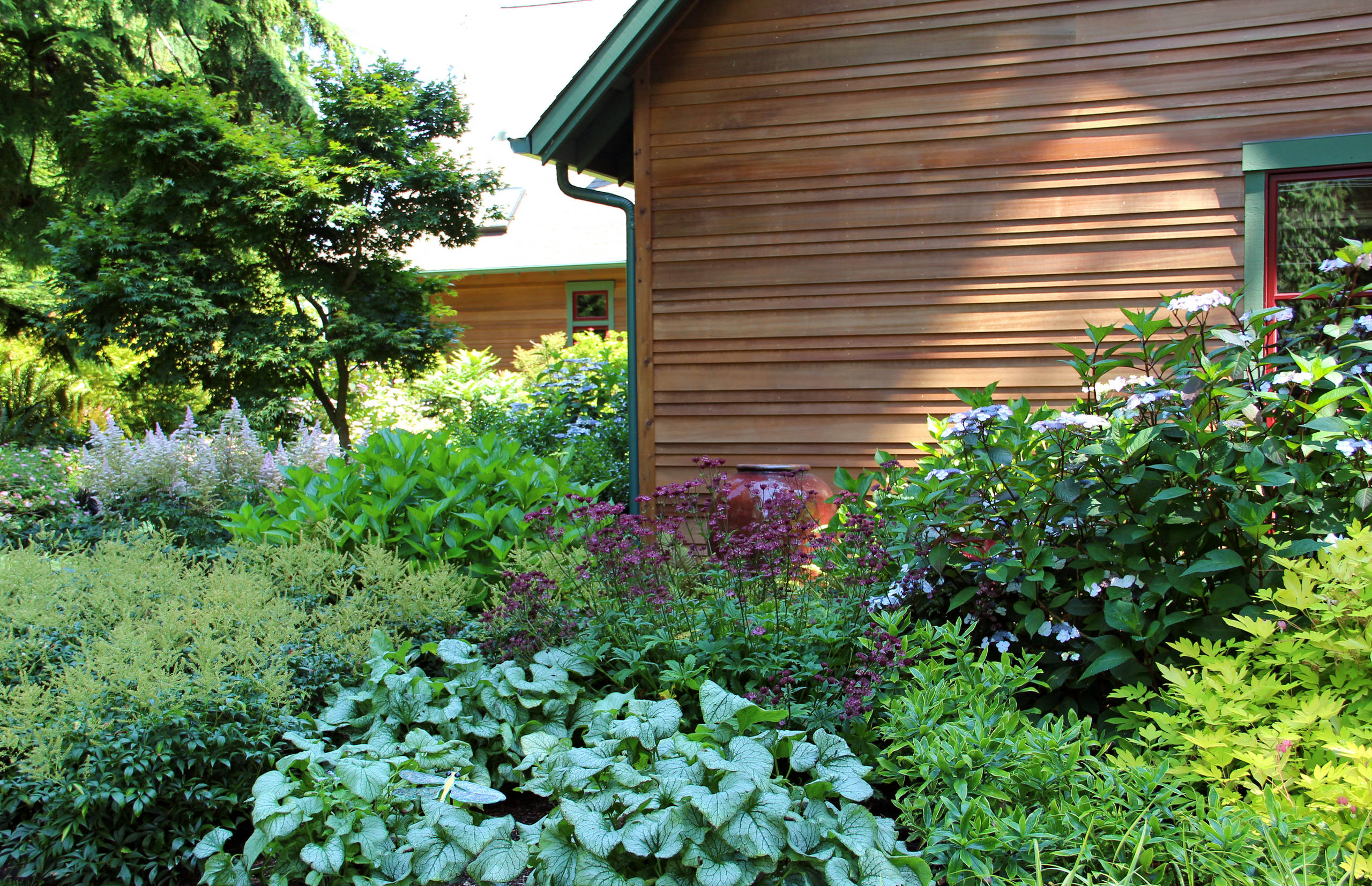 Colorful Plant Combos for Shade Gardens