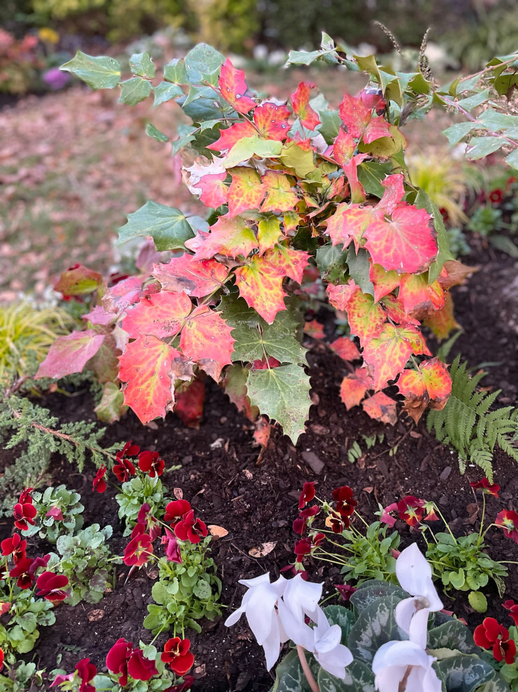 Oak Lawn Residential Landscape