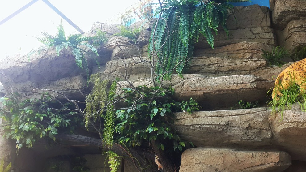 Искусственные скалы.