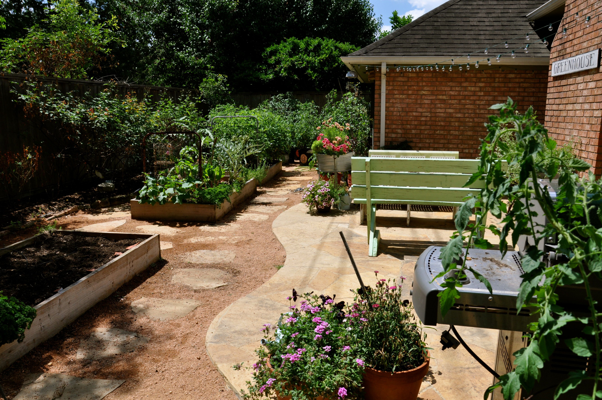 Functional back yard