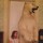 vicki_webber28