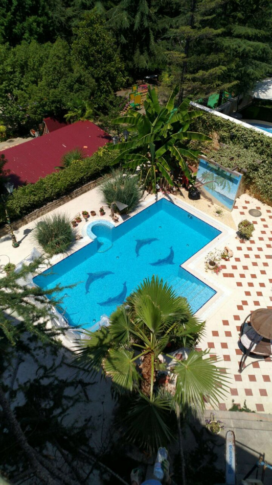 Фабрициуса