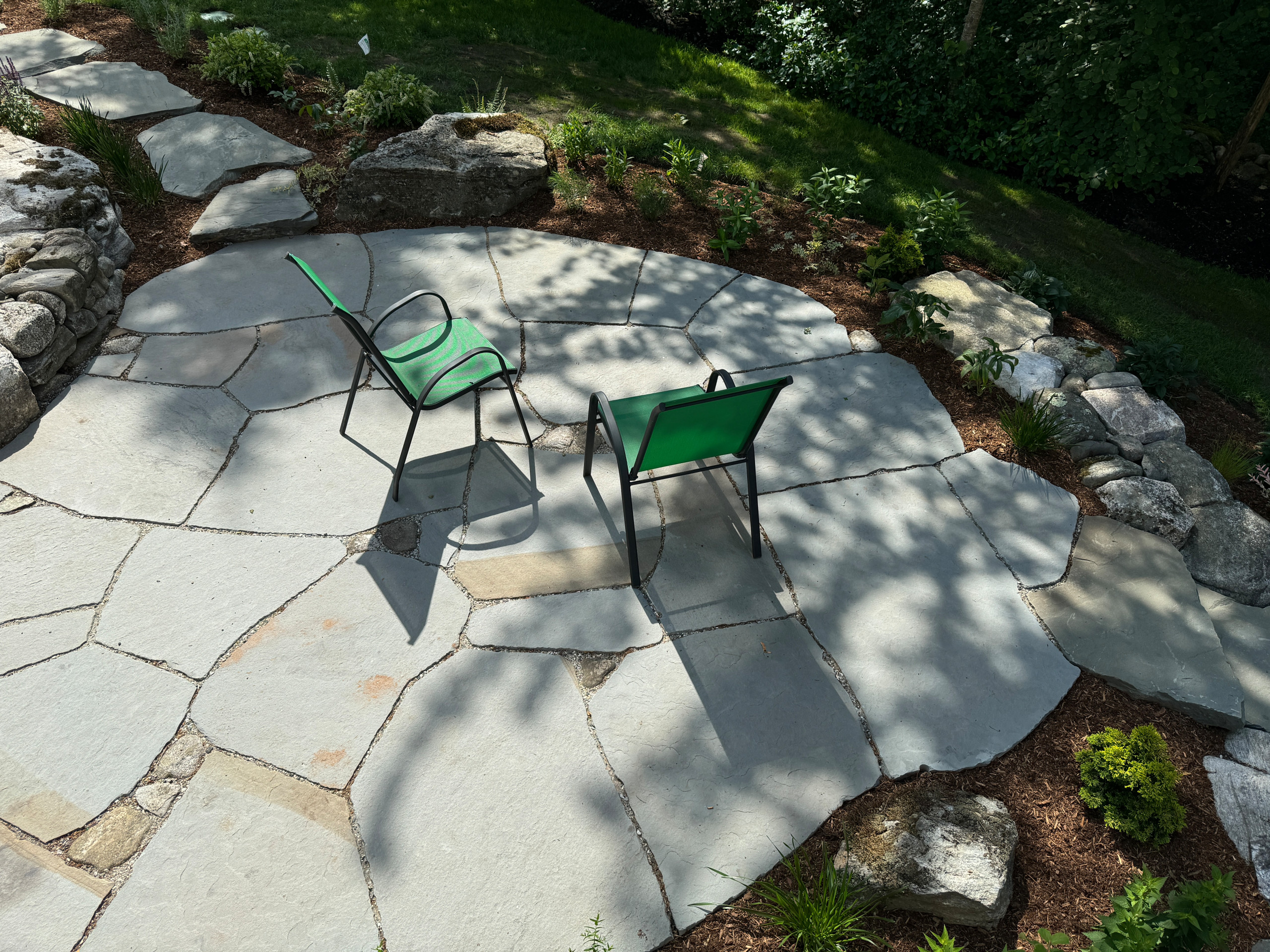Cape Elizabeth Native Plants
