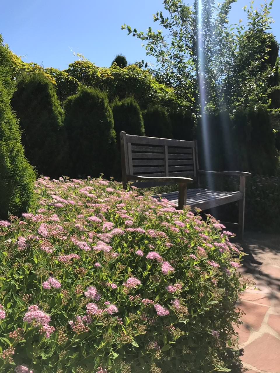 КП Дмитровка Светлая